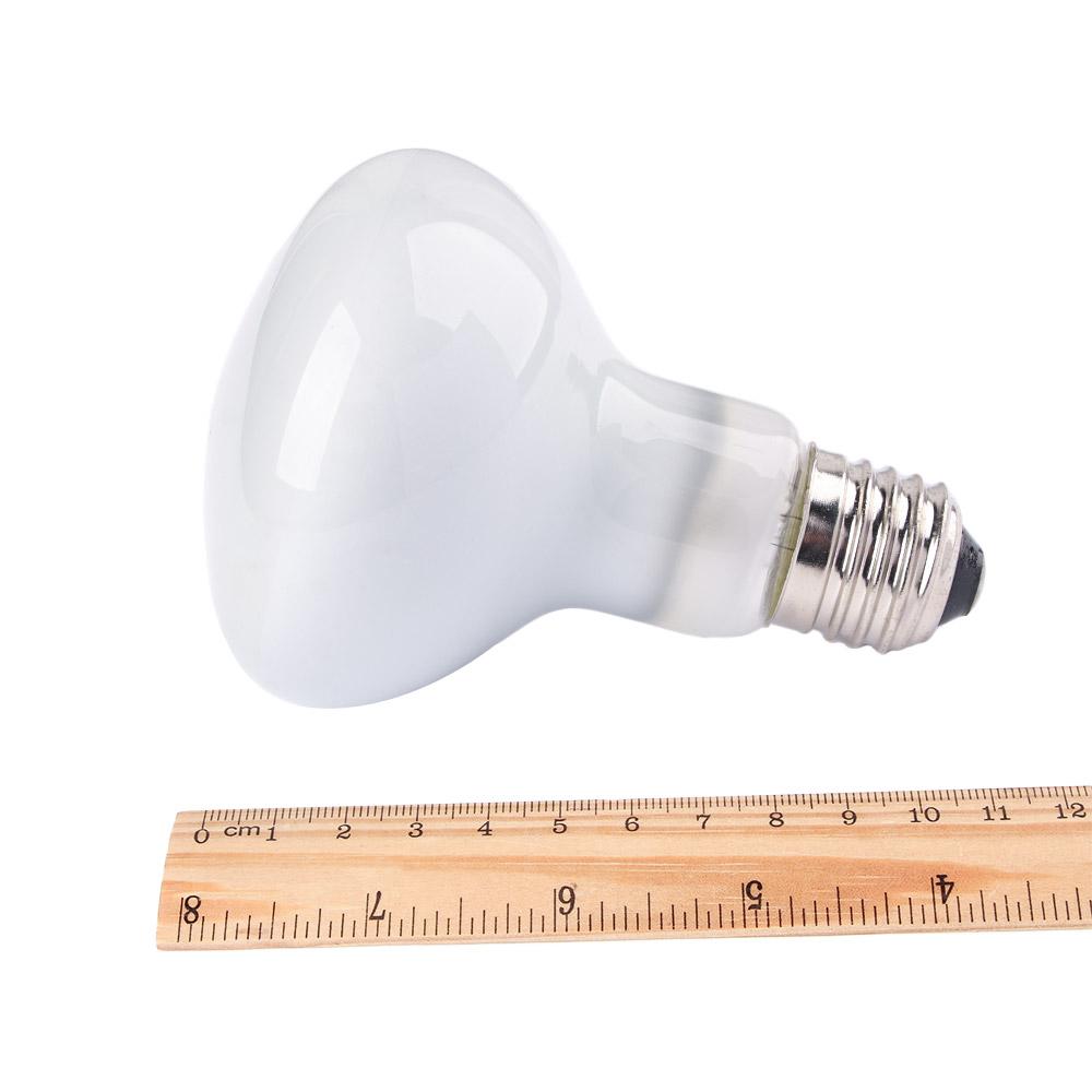 Lizard Heater Heat Lamp UVA Li - Basking Bulb Halogen review and price