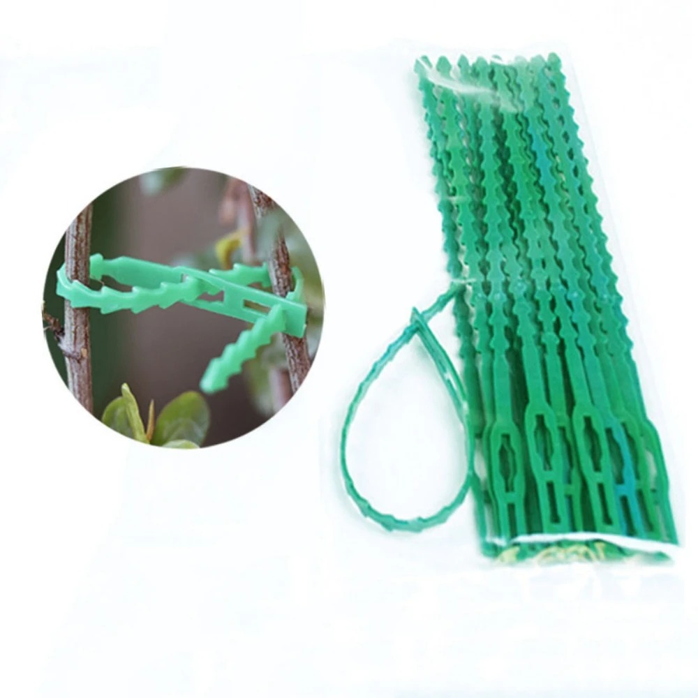 50pcs Adjustable Plastic Plant - Vine Climbing Plastic review and price