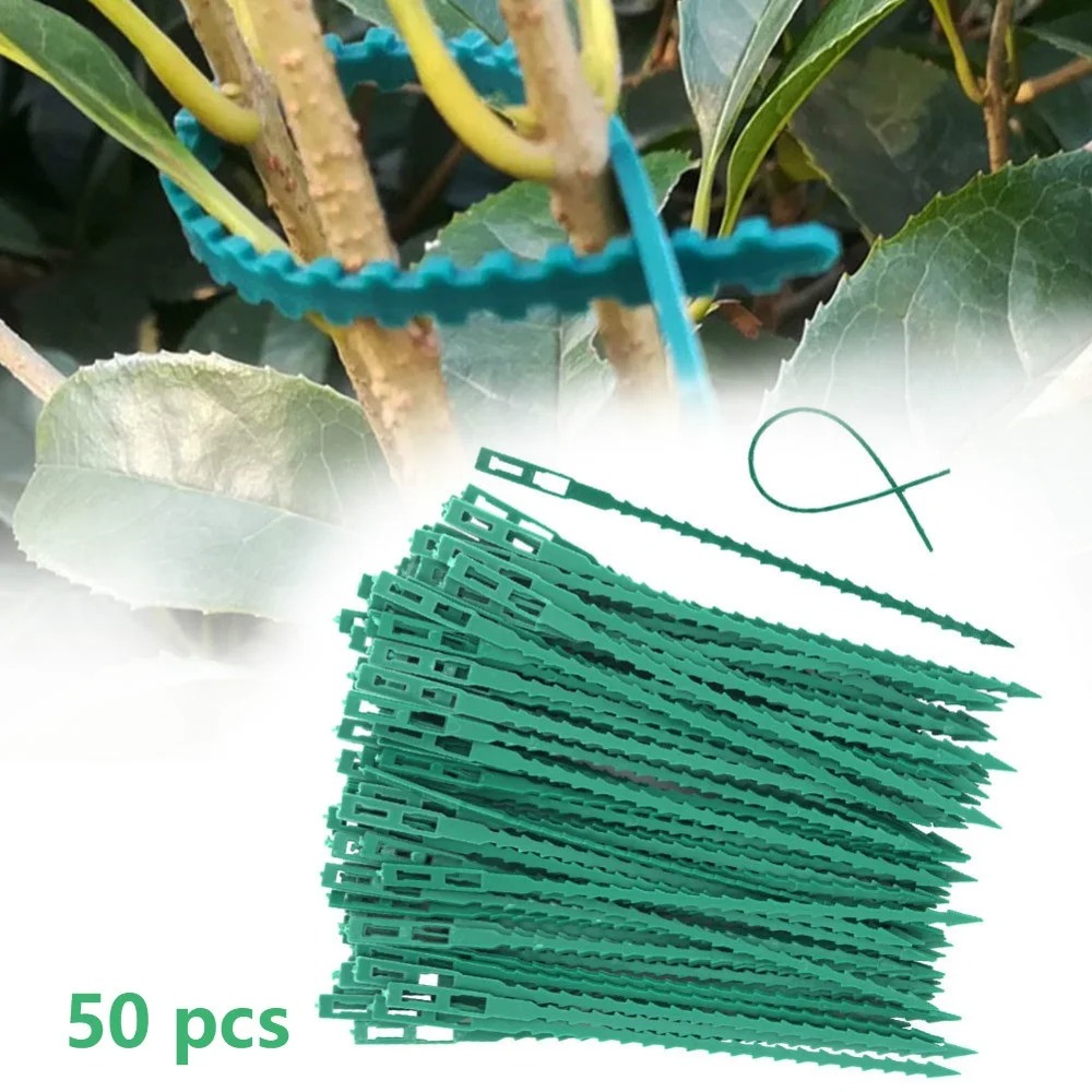 50pcs Adjustable Plastic Plant - Vine Climbing Plastic review and price