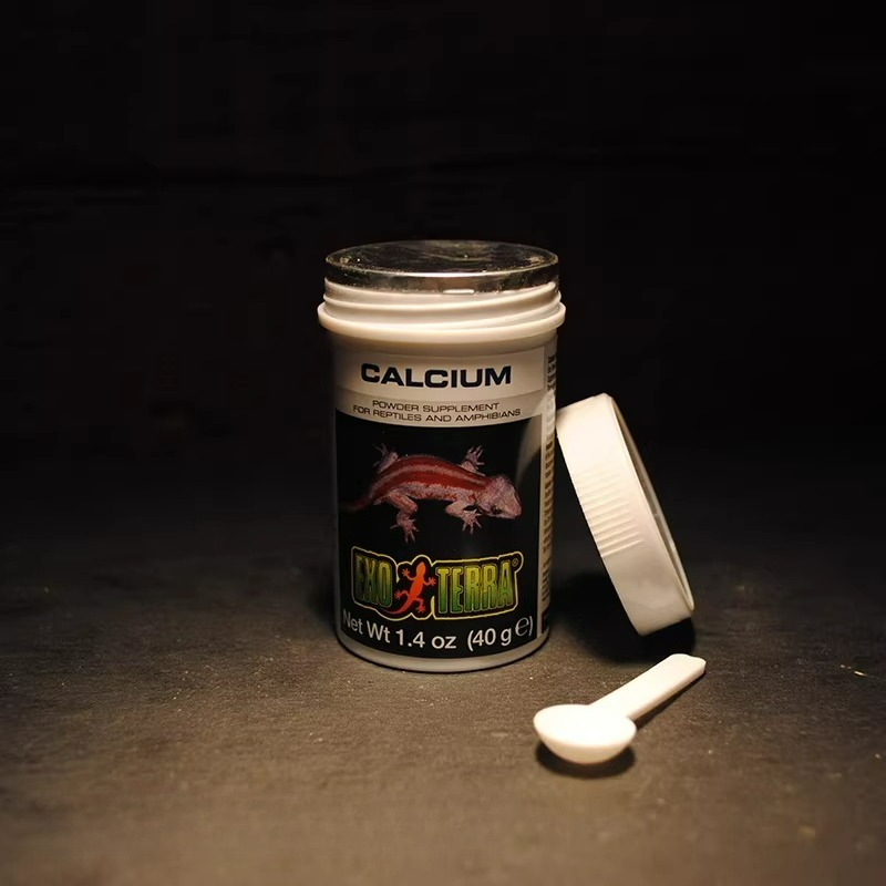 HAGEN Reptile Calcium Powder W - Vitamin D3 Reptile review and price