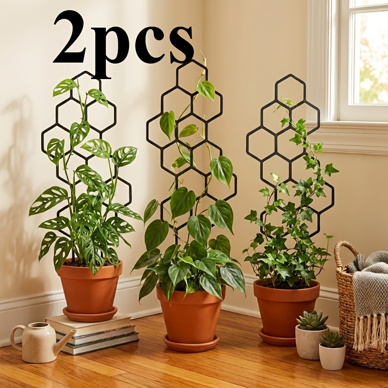 Two Climbing Plant Training De - Vine Climbing Plastic review and price