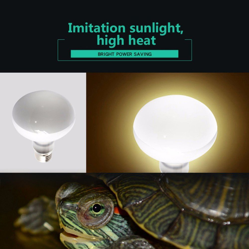 Turtle Heater Temperature Cont - Basking Bulb Halogen review and price