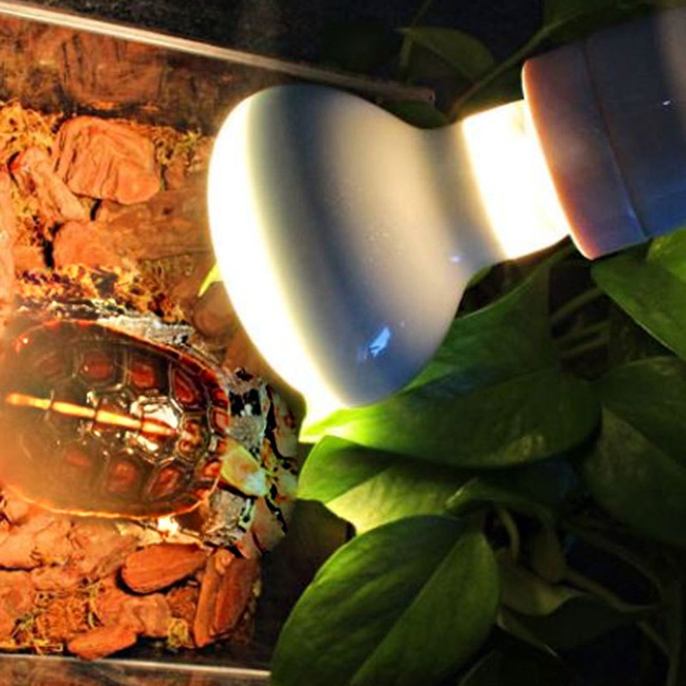 Turtle Heater Temperature Cont - Basking Bulb Halogen review and price