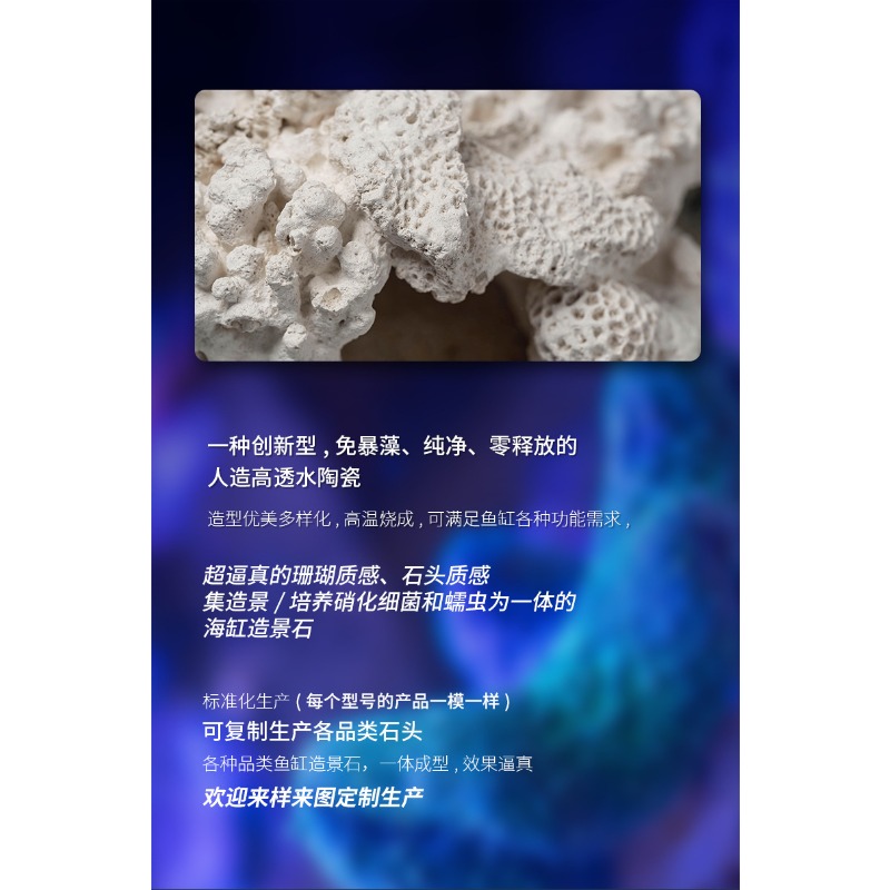 Glazed Ceramic Anemone Ornamen - Hide Cave Ceramic review and price
