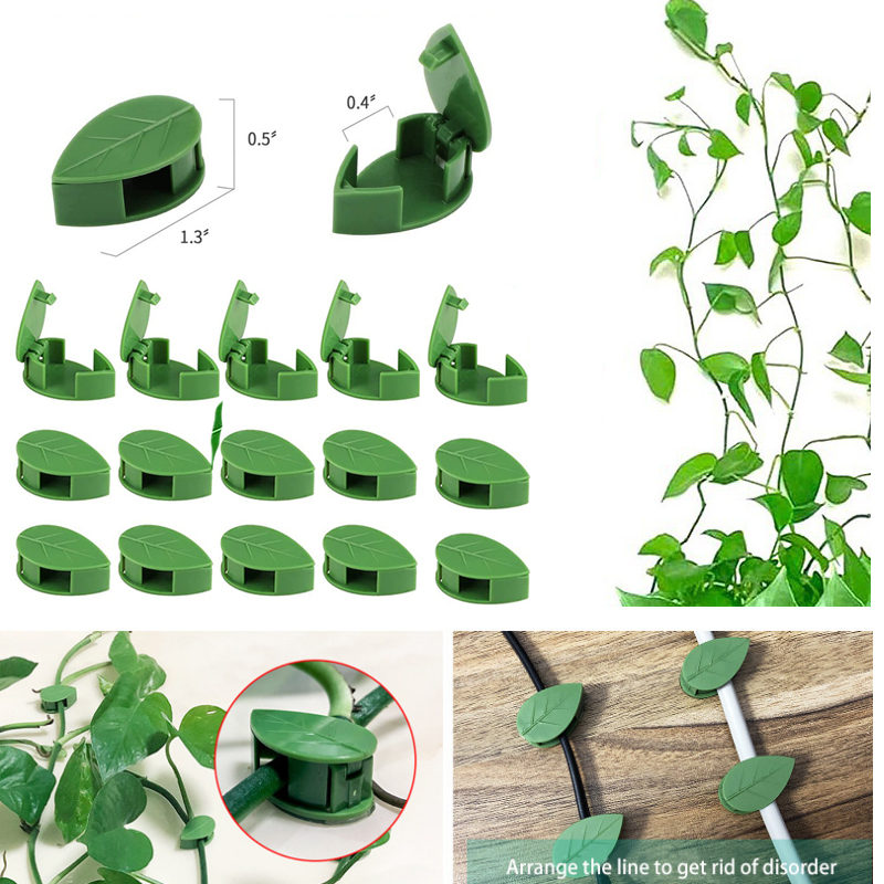 Invisible Plant Climbing Wall  - Vine Climbing Plastic review and price